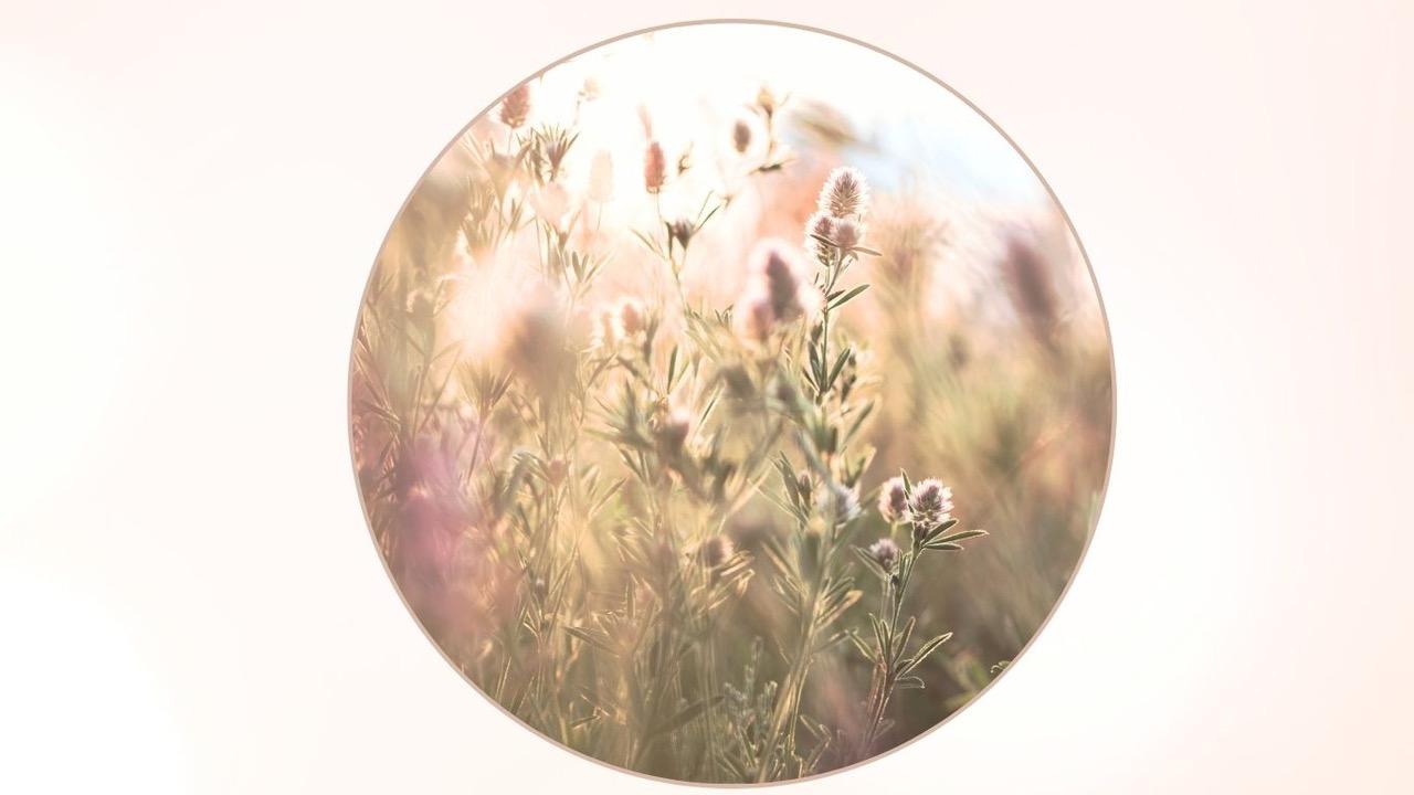 Postkarte von Flyer Sicht.Licht. (105 x 148 mm) (Website) - 6