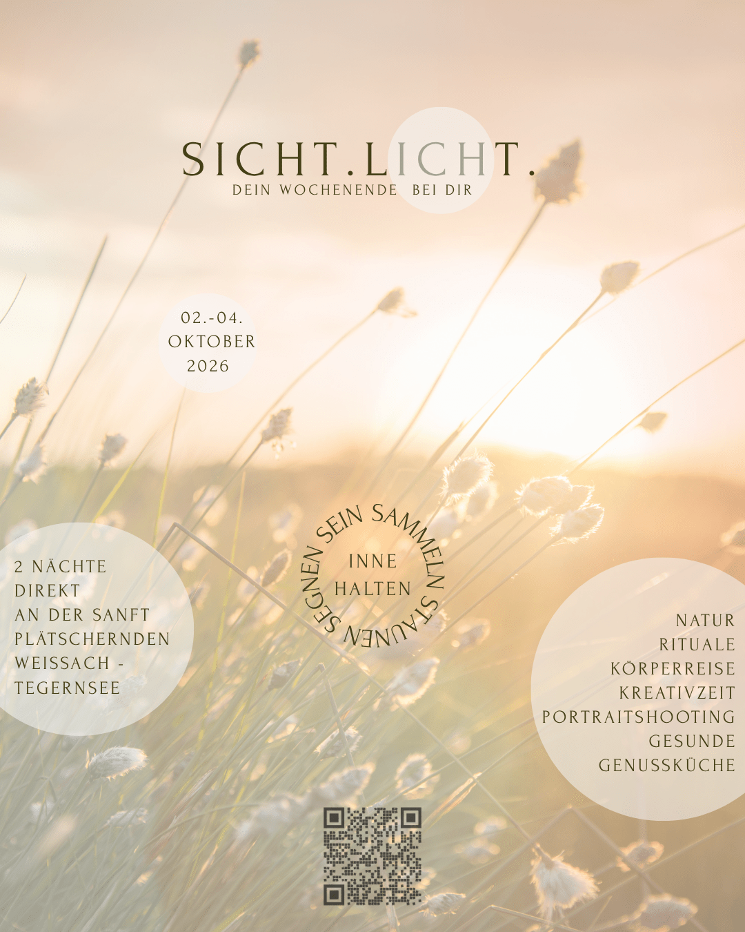 Postkarte von Flyer Sicht.Licht. (105 x 148 mm) (Instagram-Post (45)) Petra Olenyi Portrait 1 zu 1 Coaching